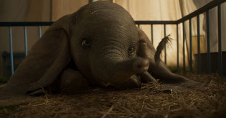 [Review] Dumbo: Chú voi biết bay – Câu chuyện cổ tích tuyệt đẹp